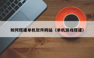 项城如何搭建单机软件网站（单机游戏搭建）